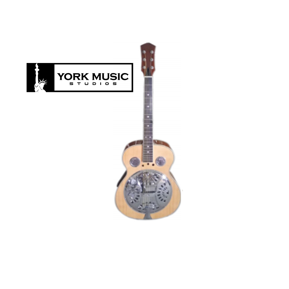 Danville on sale resonator guitar